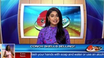 Inside Business: Conch Shell selling