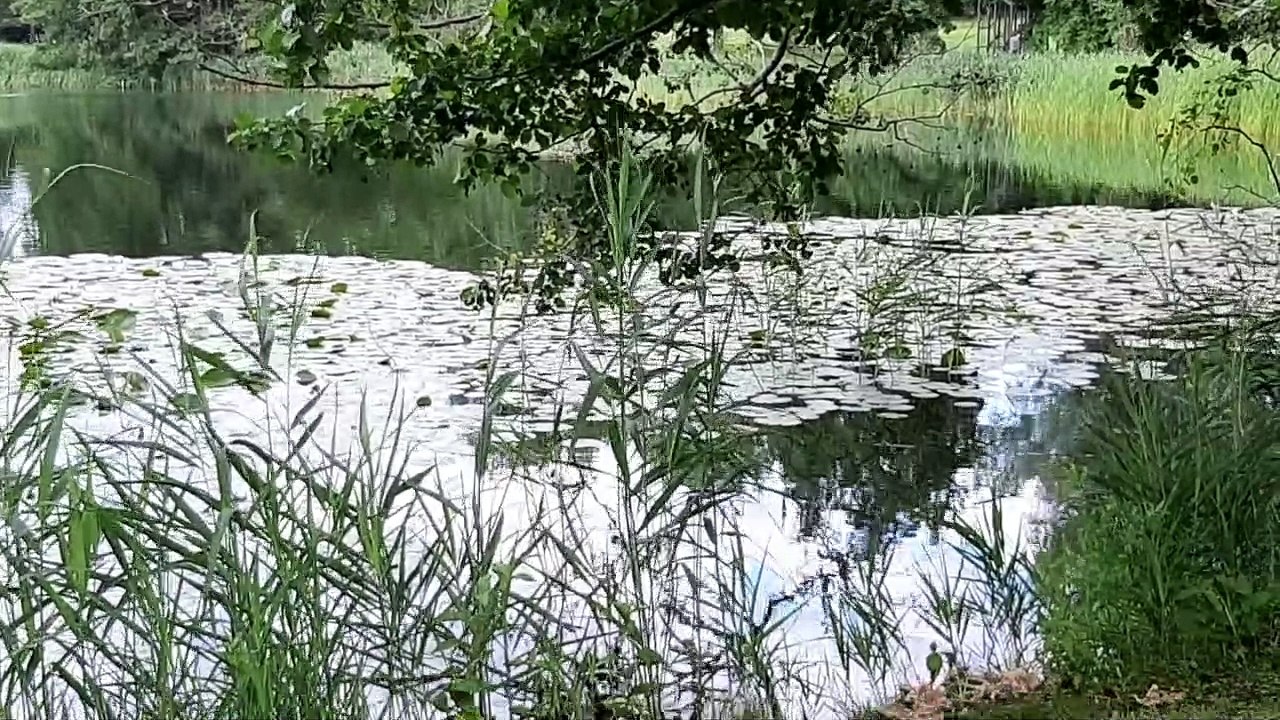 Layaly Ensemble Berlin 2004 - Malatya (Anatolien)