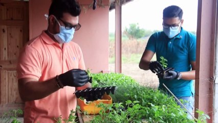 Home Kitchen Garden Challenge