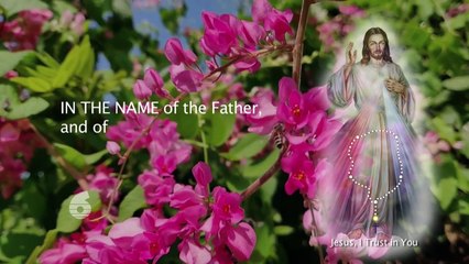 Divine Mercy 20th April