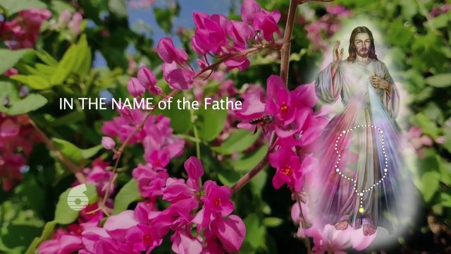 Chaplet of Divine Mercy 17 April