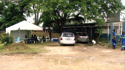 Pigeon Woes Continue To Plague Landfill Workers