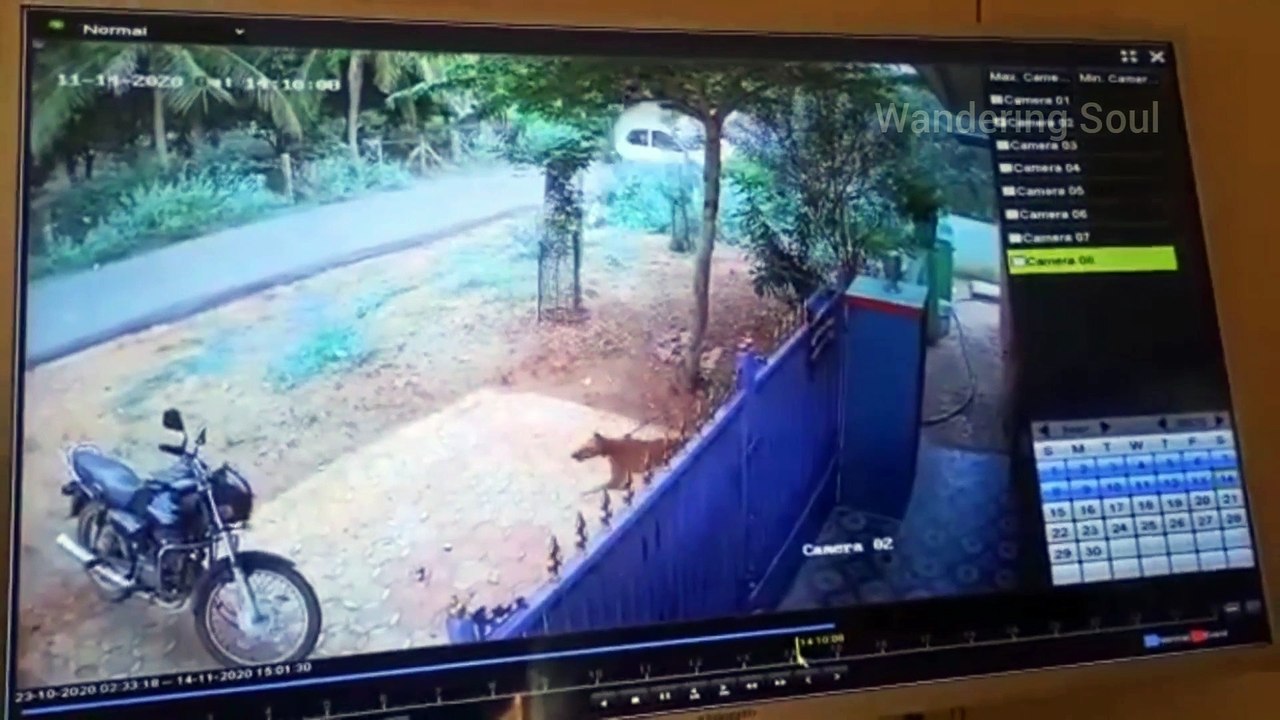 Drunken driver crashes car with six occupants. Occupants get thrown out of vehicle