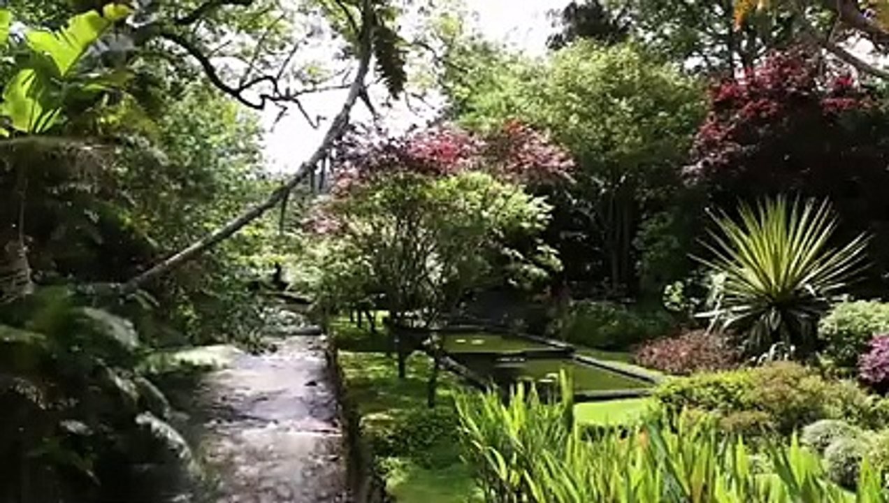 كيف يجلب الأستغفار الرزق والذرية ويحقق الأمنيات ~ الأستغفار العجيب  ( 240 X 426 )