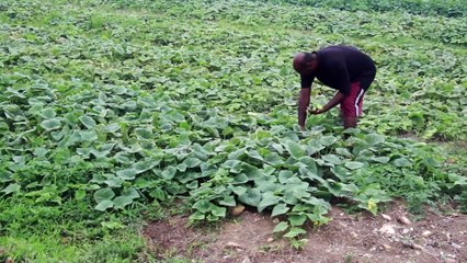 Prakash Recommends No Property Tax At This Time