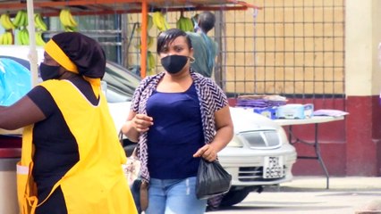 Argument On Parliamentary Scrutiny to Pass Laws