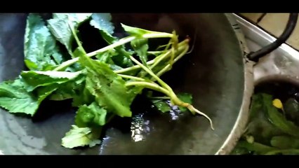 How to cook Mula shak (radish leaves ), easy natural cooking recipe.