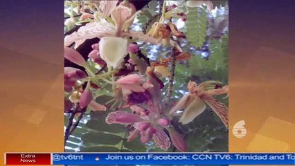 News Headlines with Fazeer