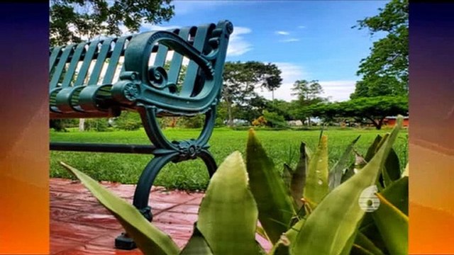 Hayden's Closing Remarks