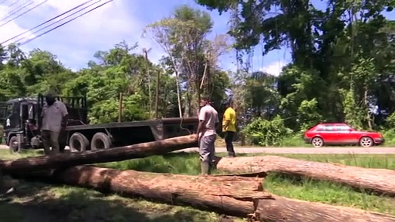 Land Grabbing In Sangre Grande