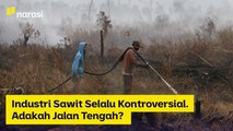 Industri Sawit Selalu Kontroversial, Adakah Jalan Tengah? | Narasi Newsroom