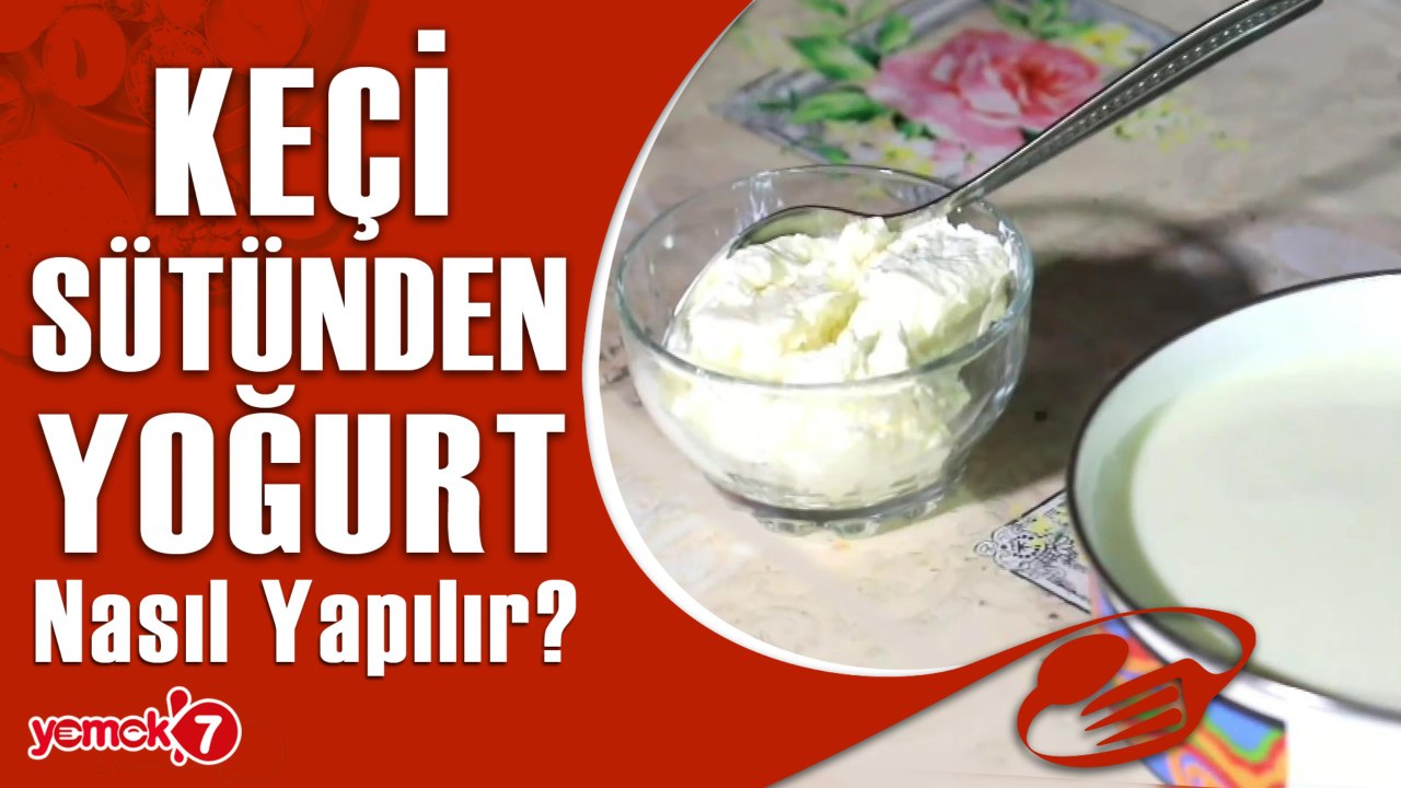 Keçi Sütünden Taş Gibi Yoğurt Nasıl Yapılır? Yoğurt Mayalamanın Püf Noktaları..