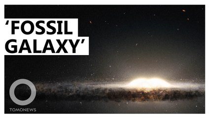 'Fossil galaxy' found hidden deep Inside the Milky Way