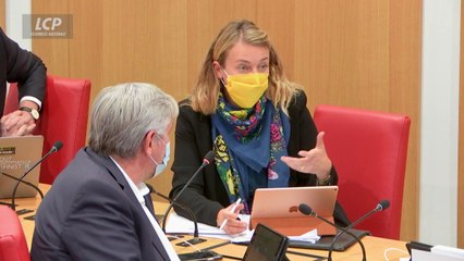 Proposition de loi visant à réformer l'adoption – 23/11/2020
