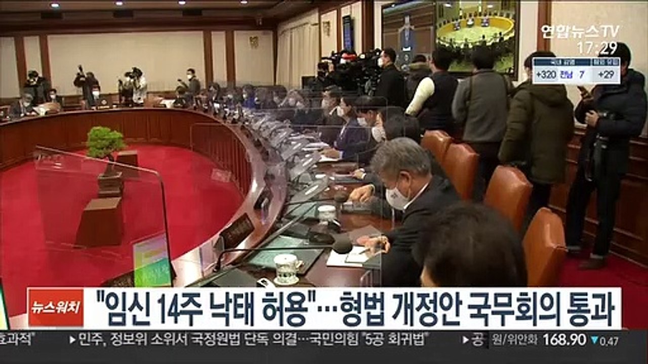 "임신 14주 낙태 허용"…형법 개정안 국무회의 통과