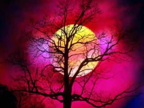 Хари Христов - Душата на войник / Hari Hristov - Dushata na voinik