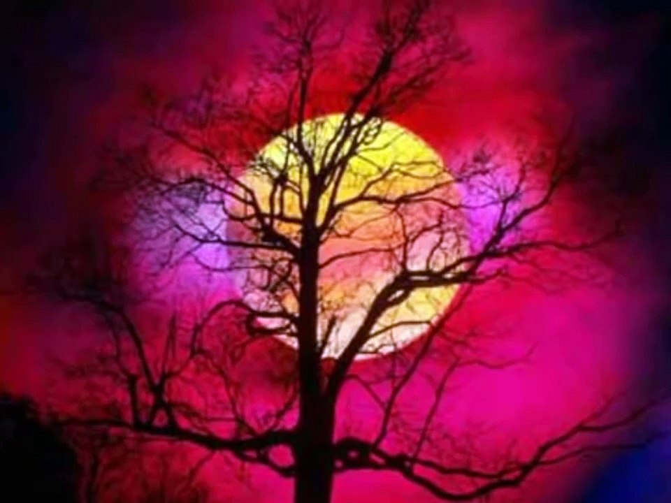 Хари Христов - Душата на войник / Hari Hristov - Dushata na voinik