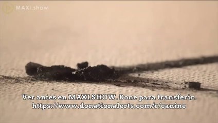 Fuego Fuego - Alev Alev - Capitulo 9 (SUBTITULO ESPAÑOL)