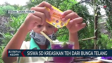 Siswa SD Berkreasi Membuat Minuman Teh Bunga Telang