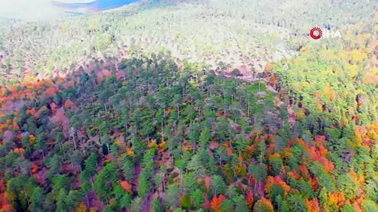 Kazdağları’nın genleri gelecek nesillere aktarılıyor