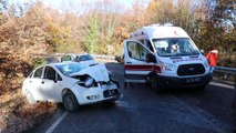 BOLU - Büyükbaş hayvan yüklü kamyonet ile otomobil çarpıştı: 5 yaralı
