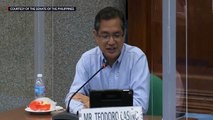 BAYAN Spokesperson Teddy Casiño at the Senate hearing on red-tagging