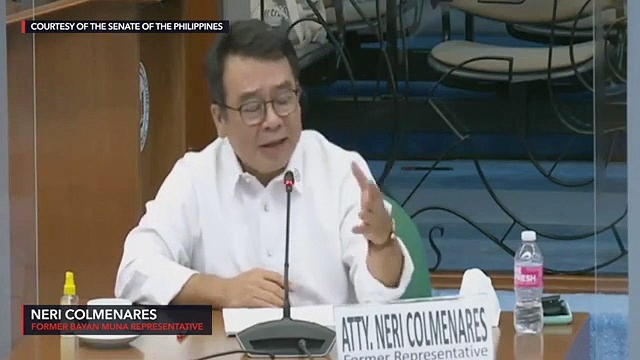 Former Bayan Muna congressman Neri Colmenares at the Senate hearing on red-tagging