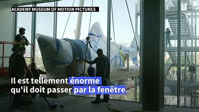 Le requin des Dents de la mer prêt à terroriser les visiteurs du musée des Oscars