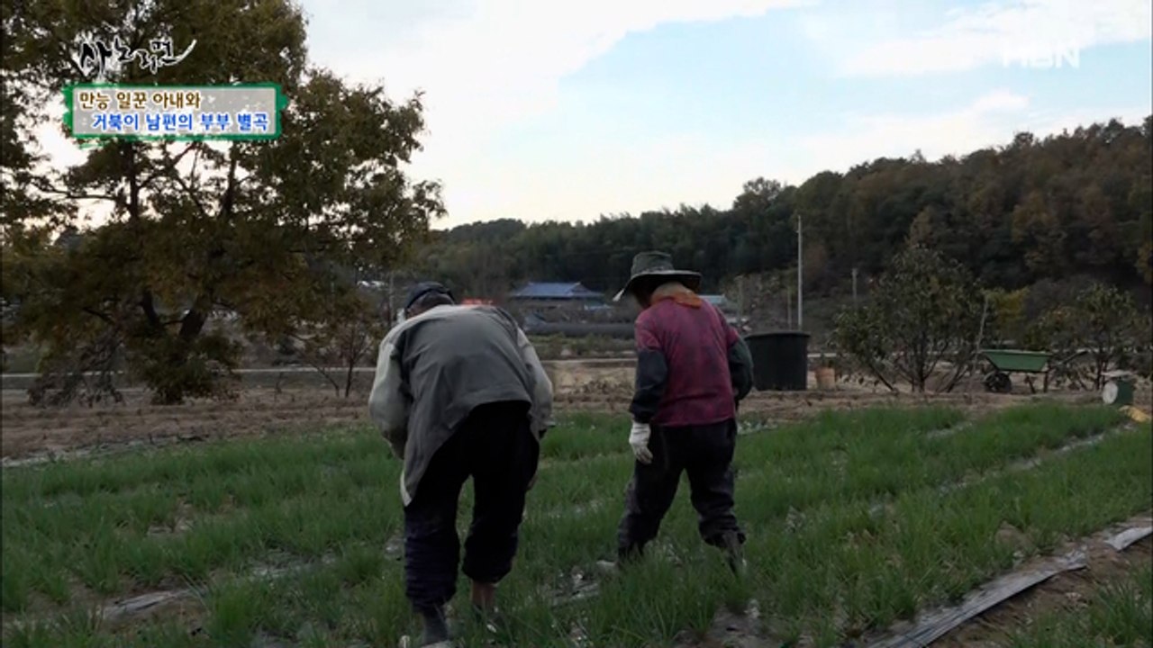 바쁘다 바빠! 몸이 열 개라도 모자른 토끼 아내와 느릿느릿 거북이 남편