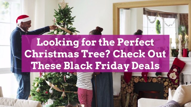 Looking for the Perfect Christmas Tree? Check Out These Black Friday Deals