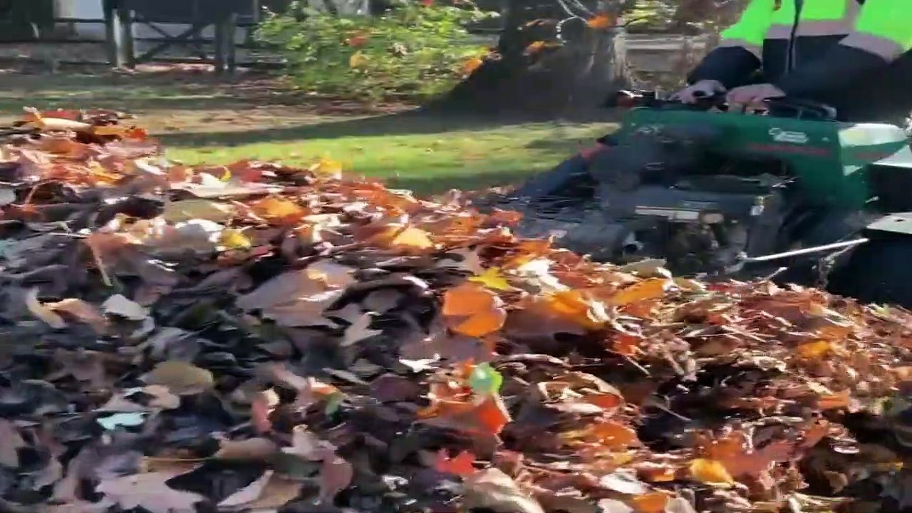 Satisfying Videos of Workers Doing Their Job Perfectly ▶1