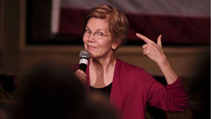 Why Elizabeth Warren Will Never Be Treasury Secretary