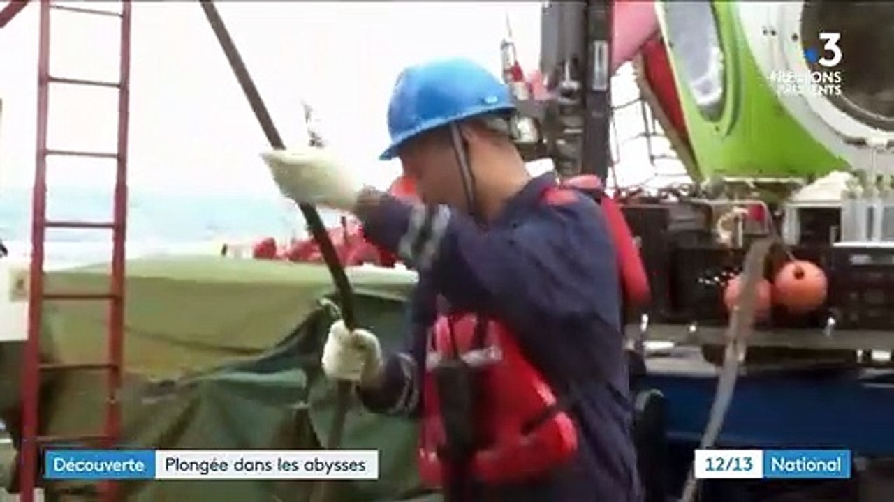 Science : plongée dans la Fosse des Mariannes