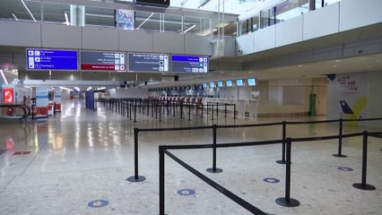Le chiffre d'affaires des compagnies aériennes sera en chute de plus de 60% cette année
