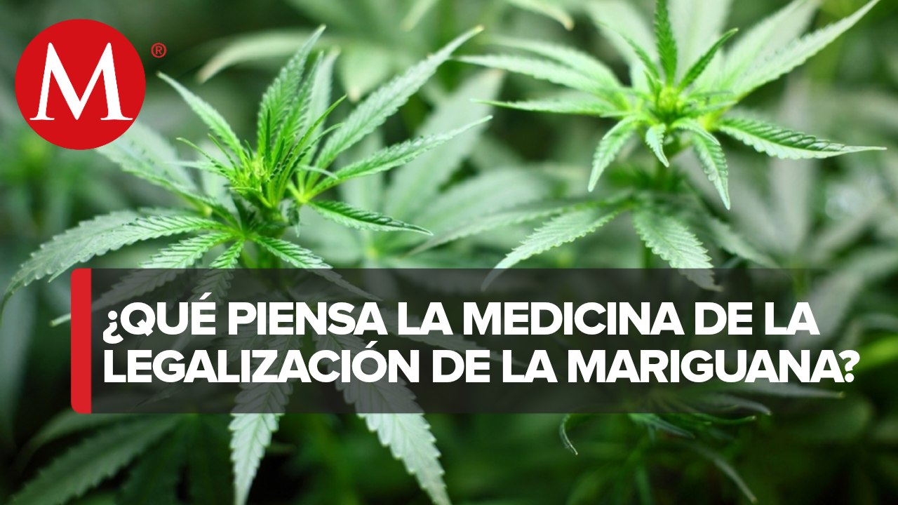 Legalización de la mariguana en México y sus efectos