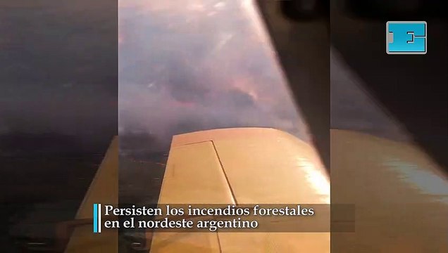 Persisten los incendios forestales en el nordeste argentino