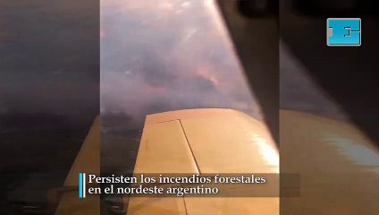 Persisten los incendios forestales en el nordeste argentino