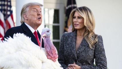 Still Donating To Trump's MAGA Fund? FYI, Here's Where The Money Is Really Going