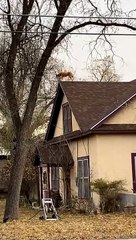 Strange Dog Barks on Rooftop