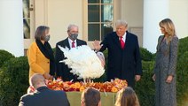 President Trump pardons Corn the turkey
