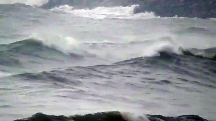 காசிமேட்டில் ஆக்ரோசமான ராட்சத அலைகள்.. நிவர் புயல் எஃபக்ட் - வீடியோ