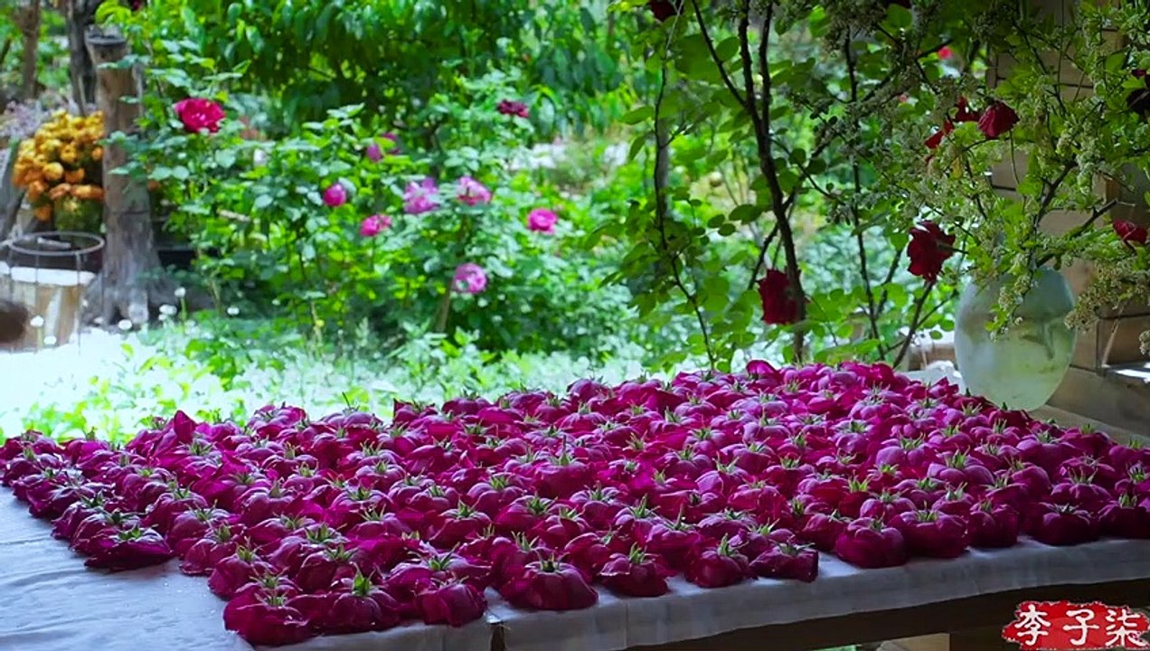 La vie des roses