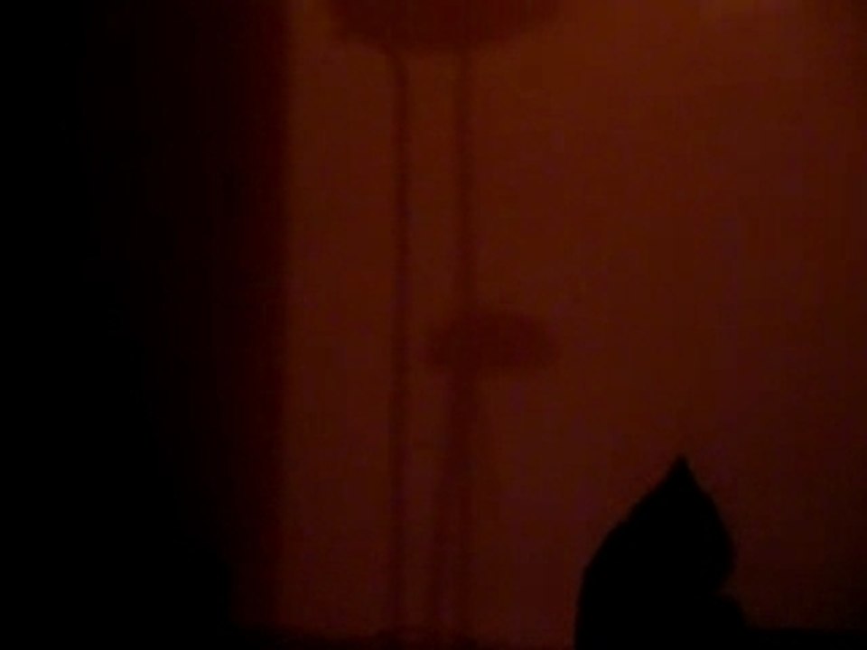 [CHAT] Shamal sur ressorts