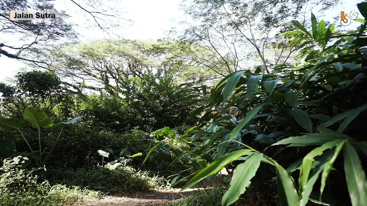 JALAN SUTRA - BERSEPEDA DI TENGAH BEKAS PENIMBUNAN KAYU DE JAWATAN