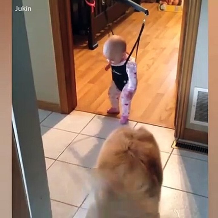 Chaque chien devrait avoir un enfant (1)