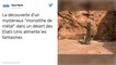 Etats-Unis : un mystérieux "monolithe de métal" dans le désert alimente les fantasmes