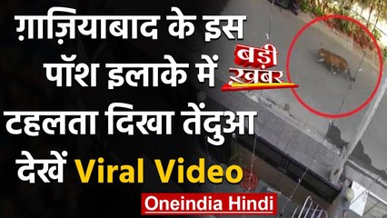 Ghaziabad के Rajnagar में टहलता दिखा Leopard, लोगों में मचा हड़कंप, देखें CCTV | वनइंडिया हिंदी
