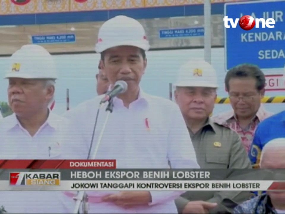 Heboh Ekspor Benih Lobster