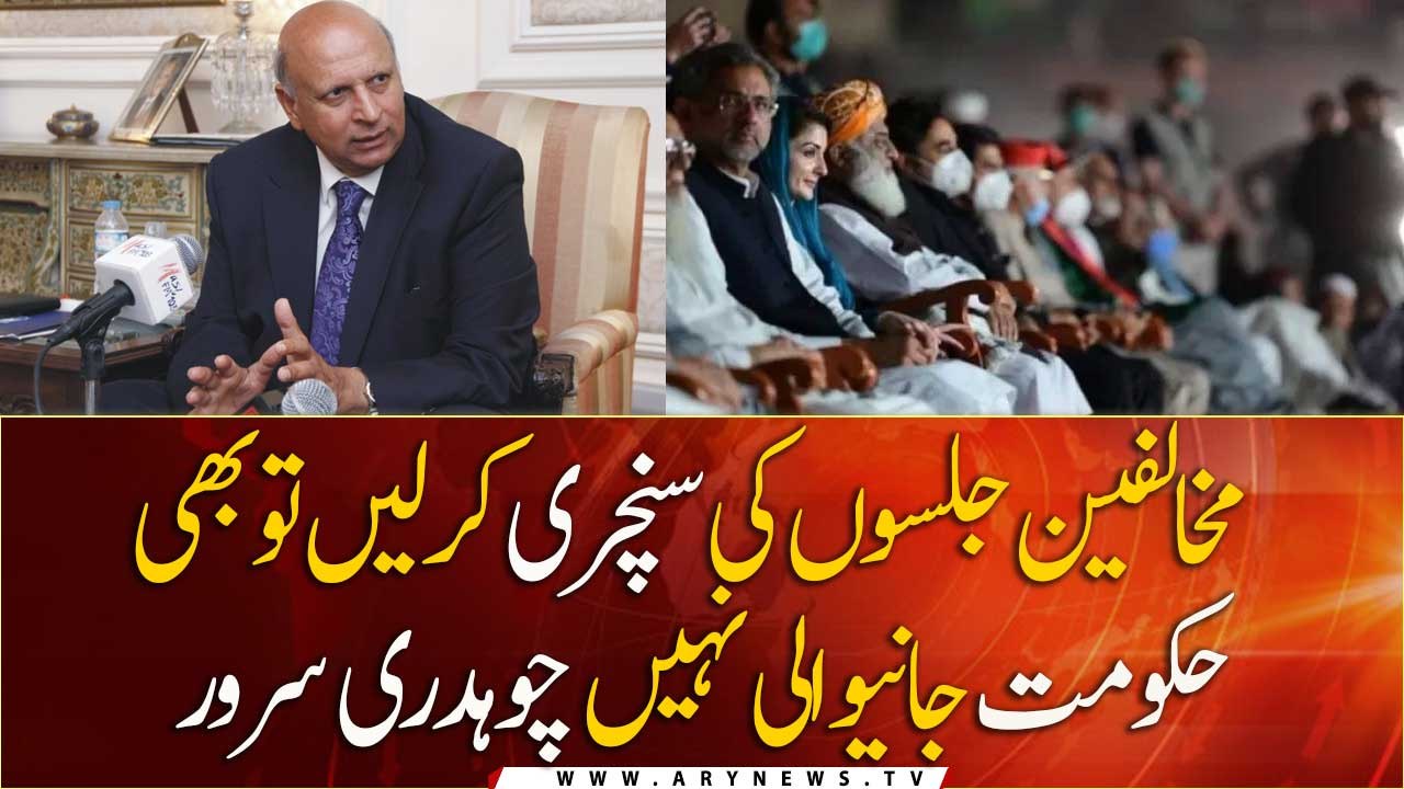 PDM's dream to overthrow govt will never come true, says Chaudhry Sarwar