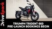 Triumph Trident 660 Pre-Launch Bookings Begin | Expected Launch Date, Prices, Specs & Other Details